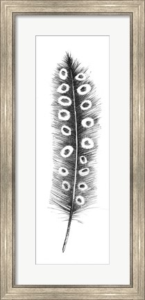 Framed Spirit Feather VIIIa Print