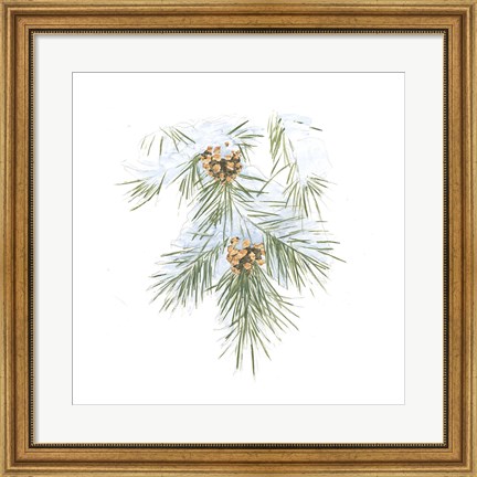 Framed Into the Woods Pinecone III Print