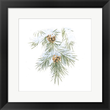 Framed Into the Woods Pinecone III Print