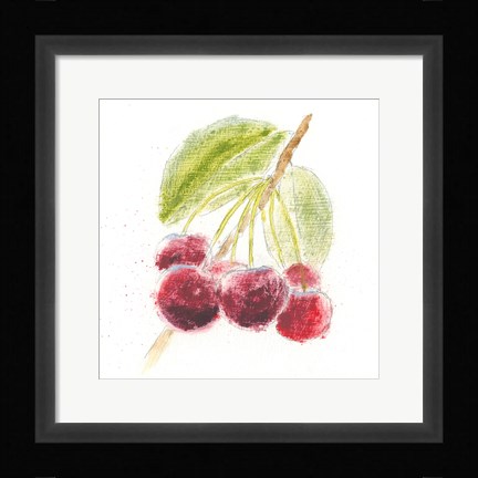 Framed Garden Delight III Print