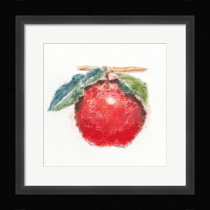 Framed Garden Delight I Print