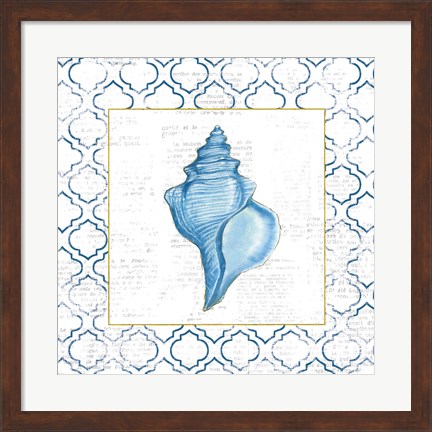Framed Navy Conch Shell on Newsprint with Gold Print