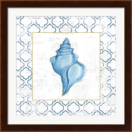 Framed Navy Conch Shell on Newsprint with Gold Print