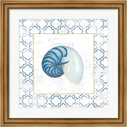 Framed Navy Nautilus Shell on Newsprint with Gold Print