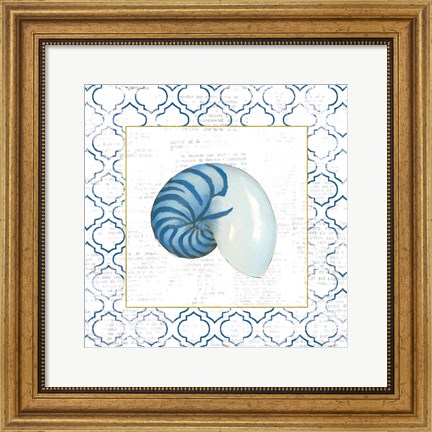 Framed Navy Nautilus Shell on Newsprint with Gold Print