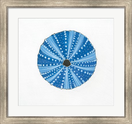 Framed Navy Circular Shell Print