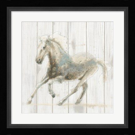 Framed Stallion II on Birch Print