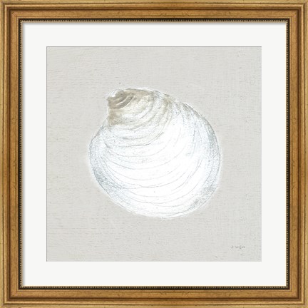 Framed Serene Shells II Tan Print