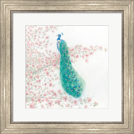 Framed Spring Peacock II Print