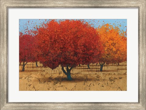 Framed Orange Trees II Print
