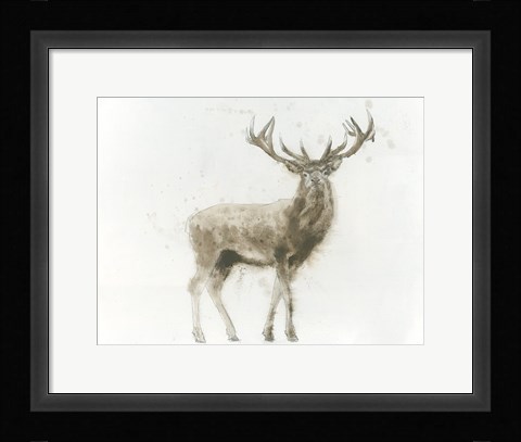 Framed Stag Print