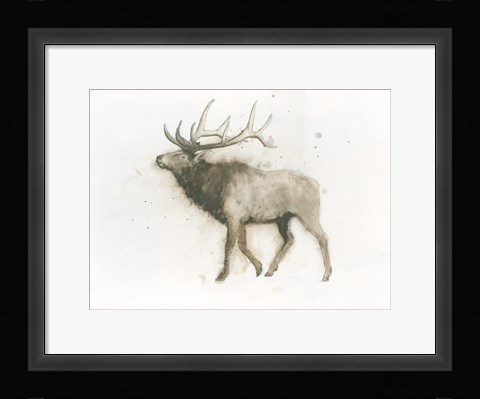 Framed Elk Print