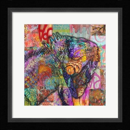 Framed Iguana Print