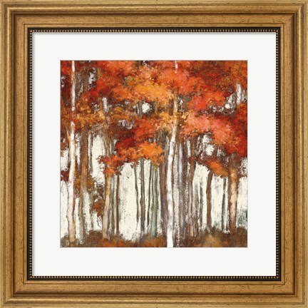 Framed October Woods Light Print