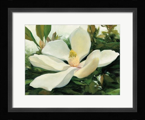 Framed Majestic Magnolia Print