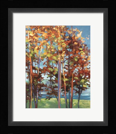 Framed Kaleidoscope II Print