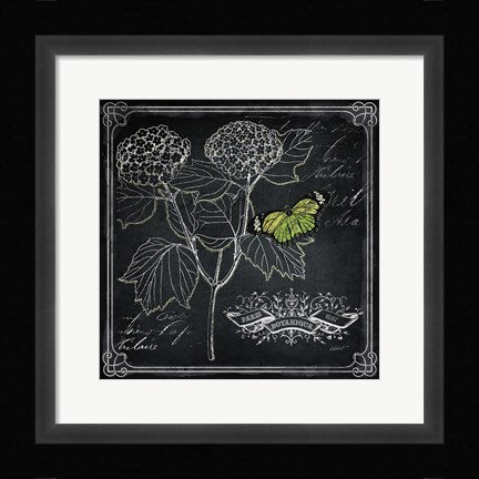 Framed Chalkboard Botanical I Print