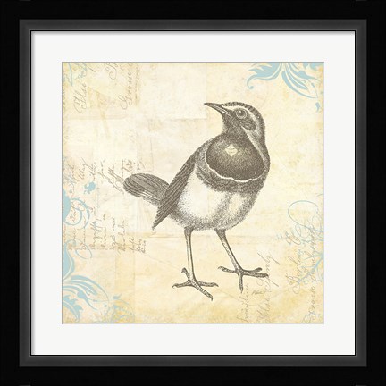 Framed Engraved Birds II Print