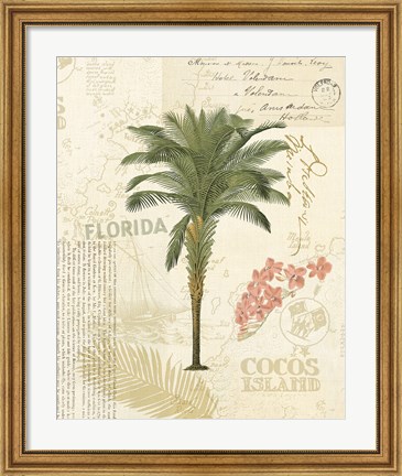 Framed Floridian II Print