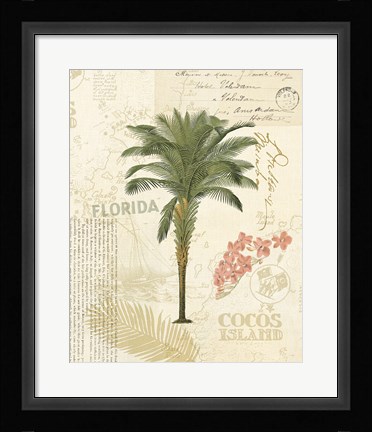 Framed Floridian II Print