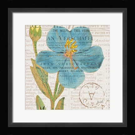 Framed Bookshelf Botanical VI Print