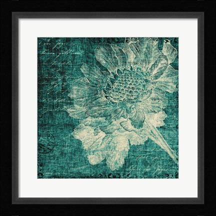 Framed Aqua Vintage Botanical Print