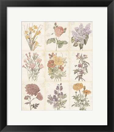 Framed Flowers of the Month 9 Patch Vintage Print