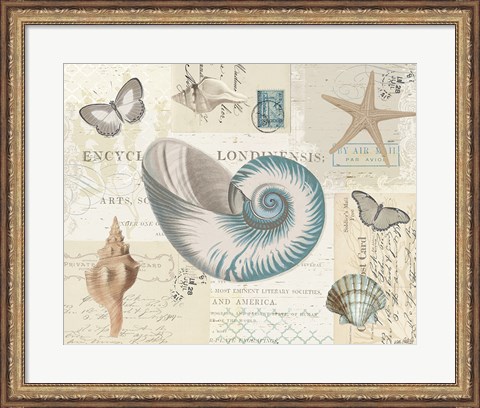 Framed Beach Wonders II Print