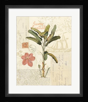 Framed Floridian III Print