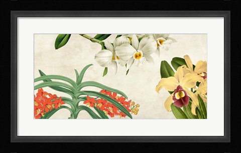 Framed Panneau Botanique III Print