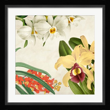 Framed Panneau Botanique VIII Print