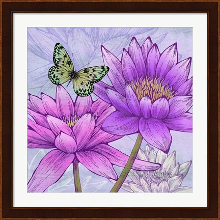 Framed Nympheas and Butterflies (detail) Print