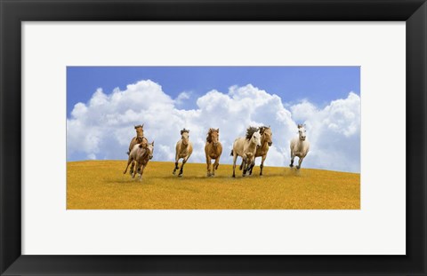 Framed Herd of Wild Horses Print