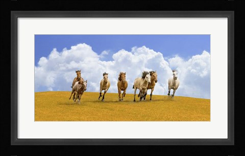 Framed Herd of Wild Horses Print