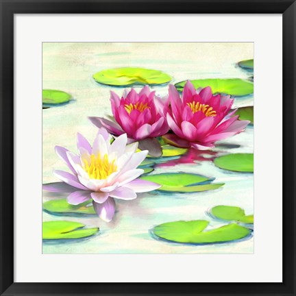 Framed Nympheas II Print