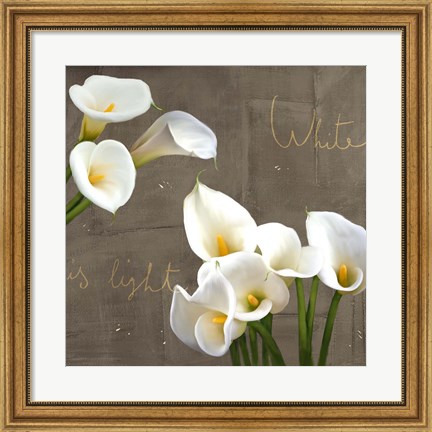Framed White Callas Print