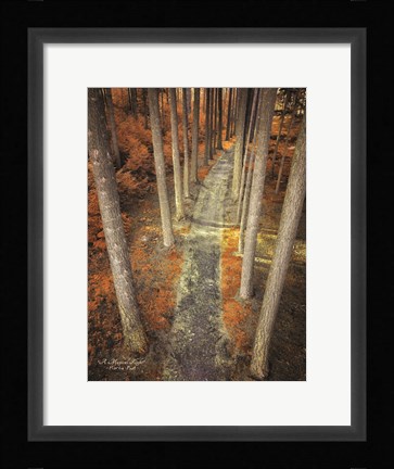 Framed Magical Flight Print