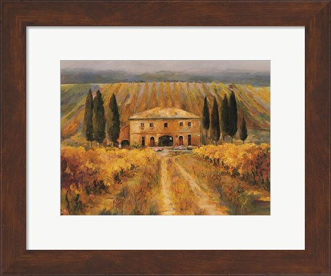 Framed Toscana Vigna Special Print