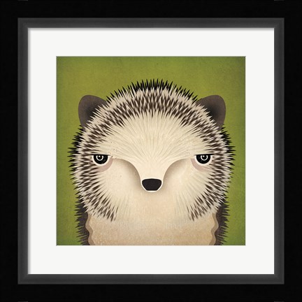 Framed Baby Hedgehog Print