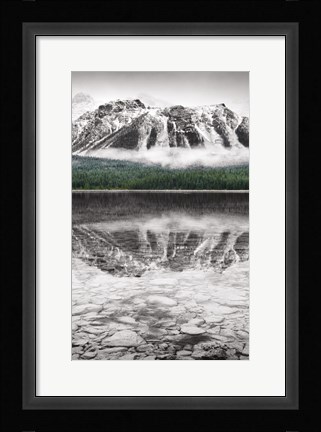 Framed Waterfowl Lake Panel II BW with Color Print