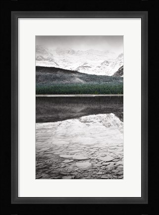 Framed Waterfowl Lake Panel I BW with Color Print