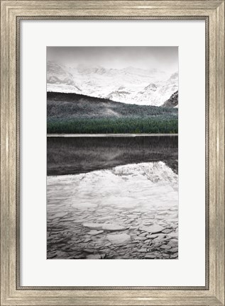 Framed Waterfowl Lake Panel I BW with Color Print
