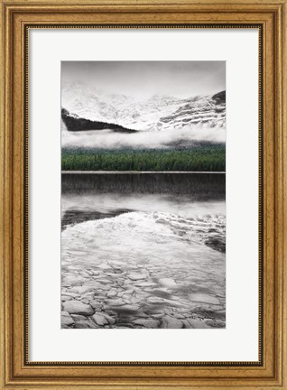 Framed Waterfowl Lake Panel III BW with Color Print