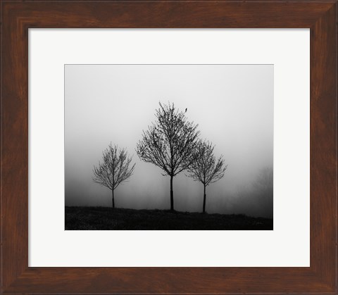 Framed In the Fog Crop Print
