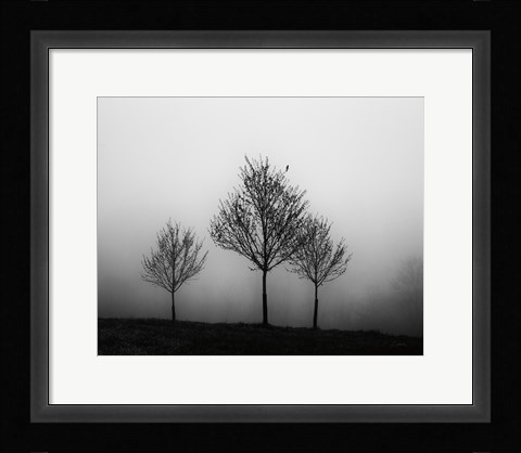 Framed In the Fog Crop Print