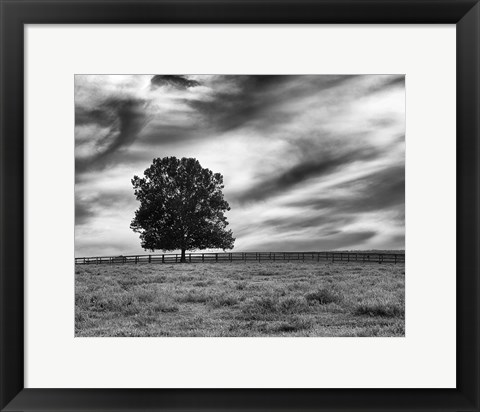 Framed Majestic Crop Print