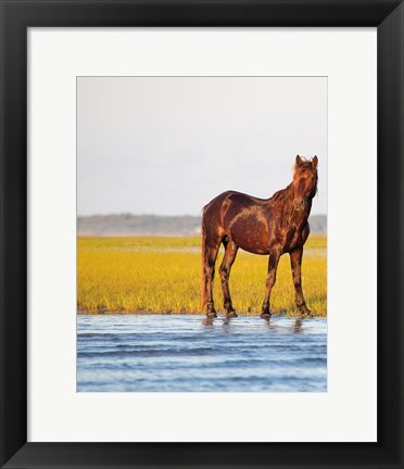 Framed By the River Print