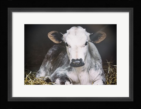 Framed Busy Day Crop Print