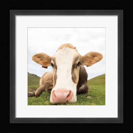 Framed Close Up I Crop Print