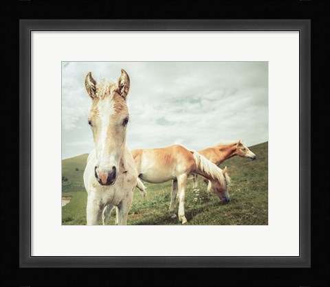 Framed Three Buddies Print